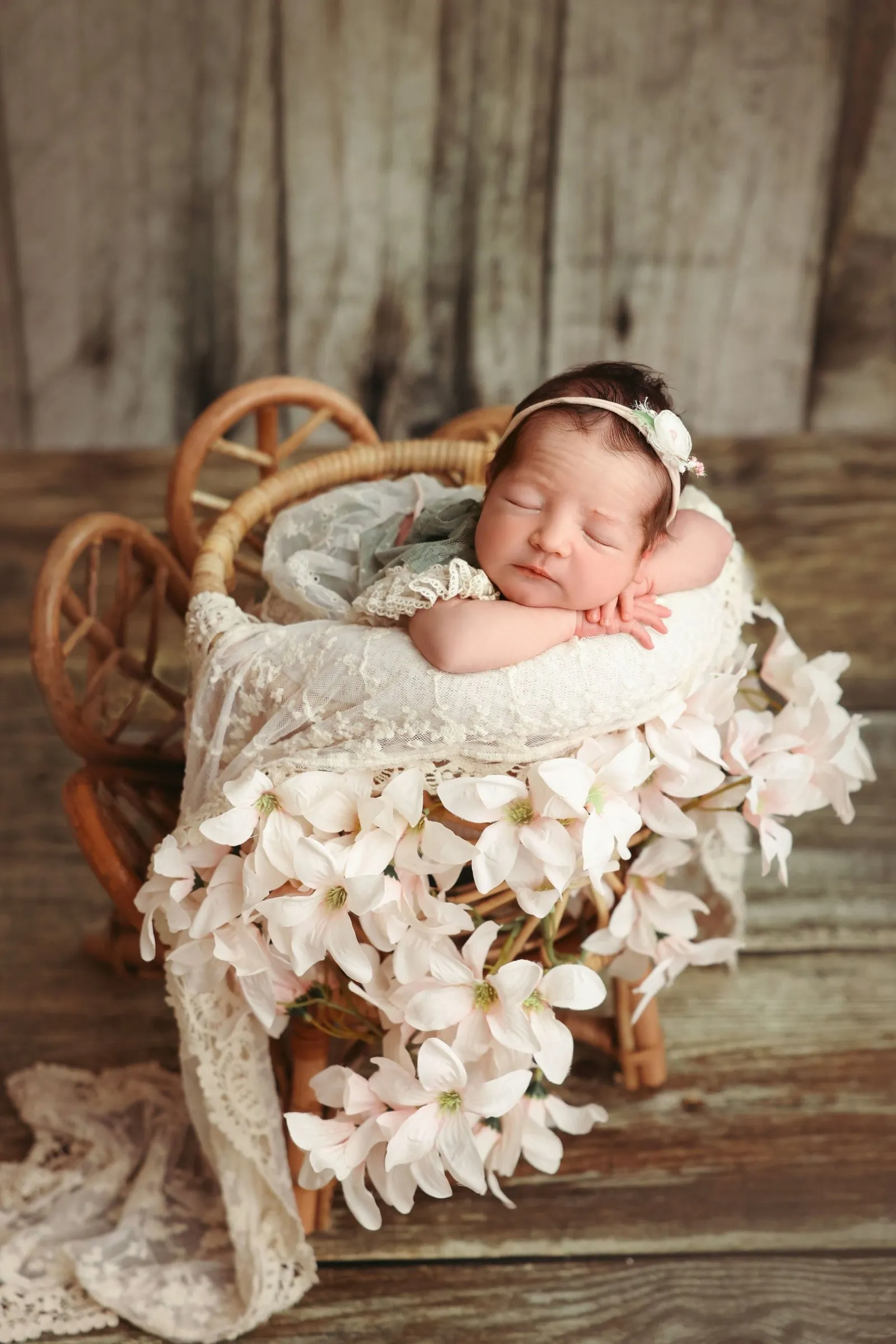 Newborn — Newborn Studio Devine